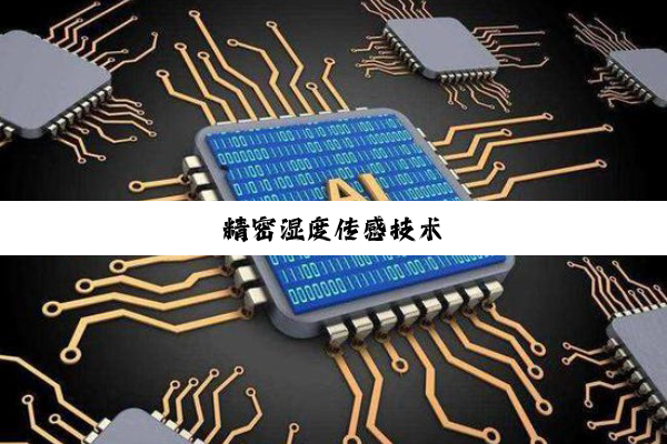 精密湿度传感技术
